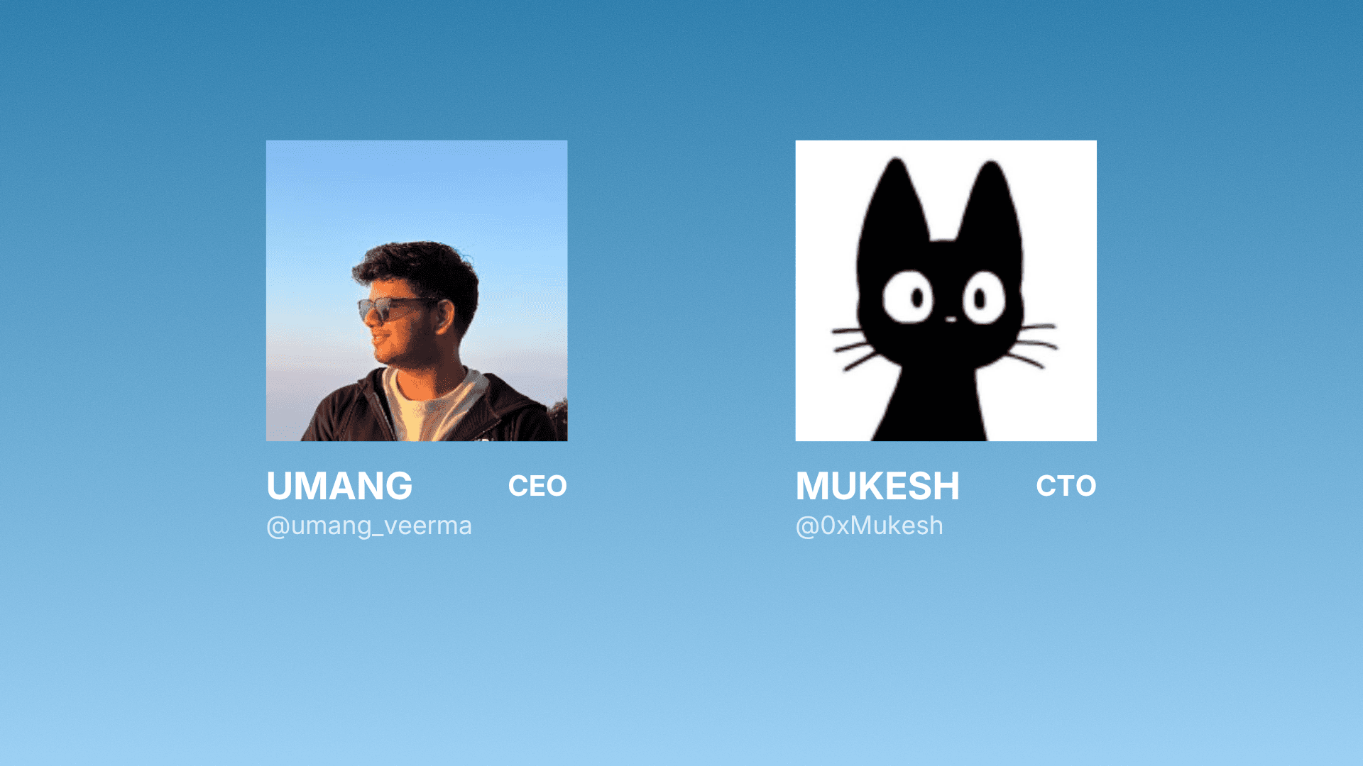 Our team